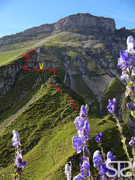 © STƧ brienzer rothorn, nesslenstock, schrofen